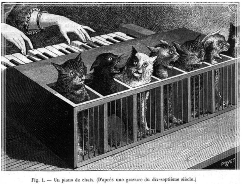 orgue_a_chat